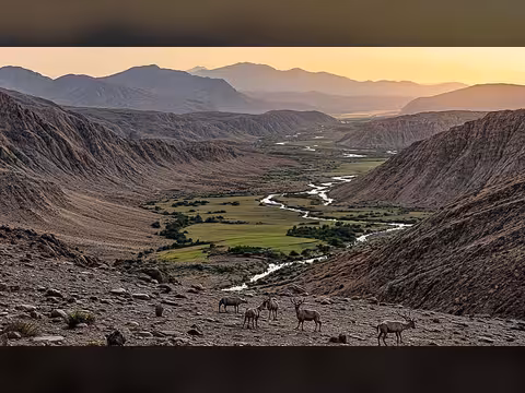 Video: Journey Through Saudi Natural Reserves - Pristine Nature Beauty